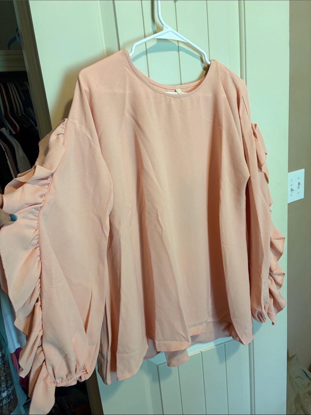 Love in Soft Blush Ruffle-Sleeve Blouse